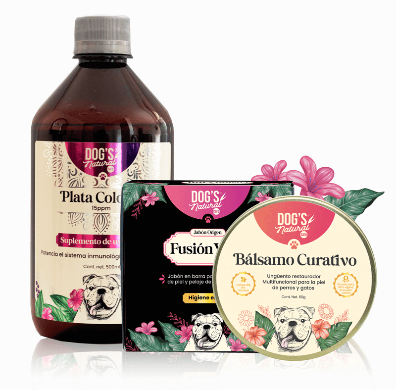 KIT-PIEL-SANA-FULL-DEFENCE