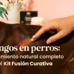 Hongos en perros