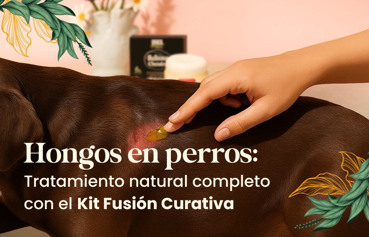 Hongos en perros